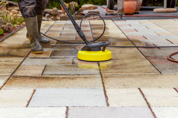 Best Pre-Holiday Cleaning  in Dyersville, IA